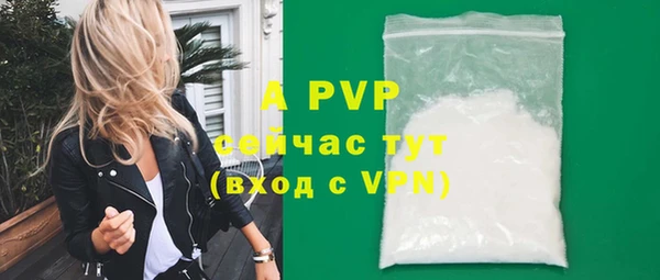 амф Липки