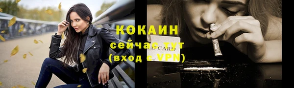 амф Липки
