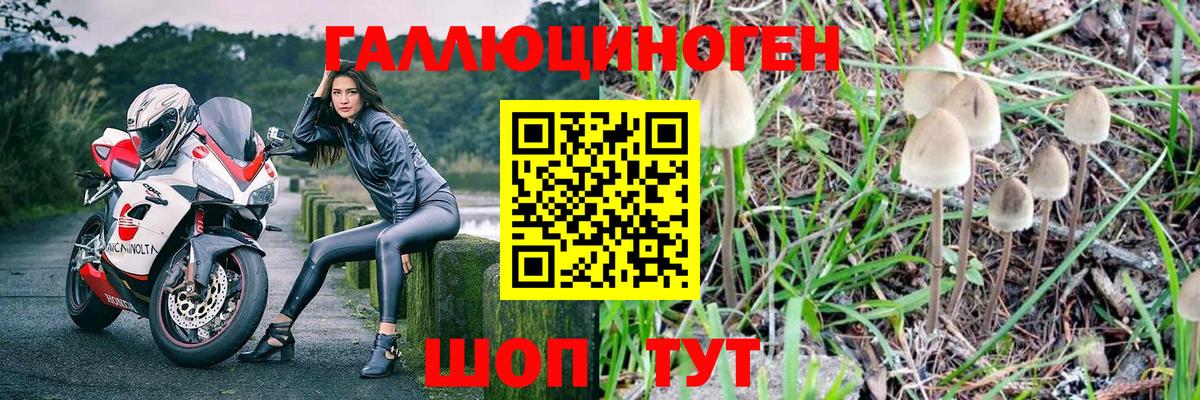 Псилоцибиновые грибы GOLDEN TEACHER Ижевск