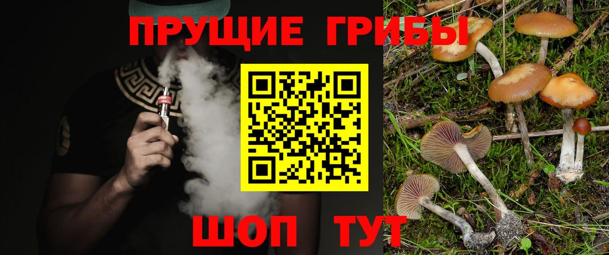 Ижевск  Галлюциногенные грибы ЛСД  Вход с VPN  сколько стоит  Псилоцибиновые грибы Cubensis 