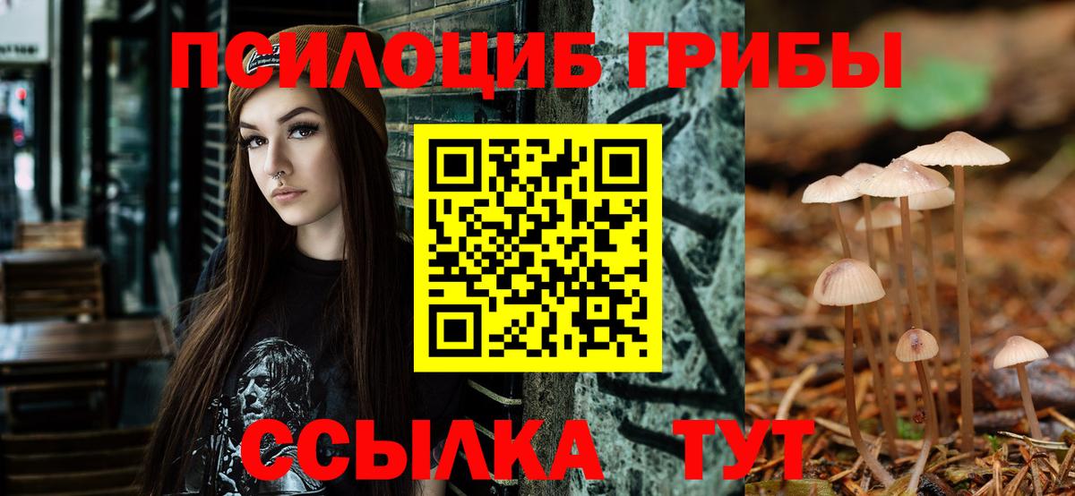 Галлюциногенные грибы Cubensis Ижевск