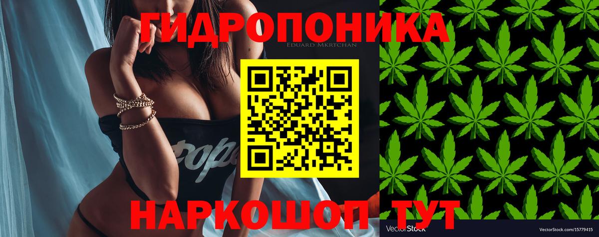 Каннабис индика  Каннабис сатива  Вход с VPN  Ижевск 